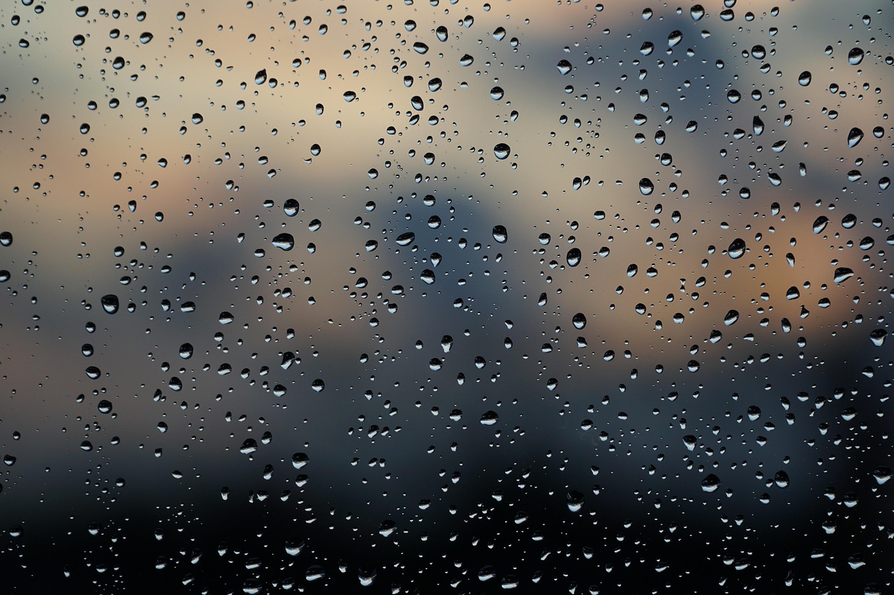 glasbewassing bedrijven arnhem